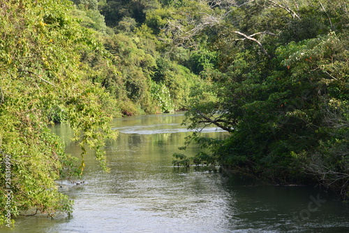 IGUAZU (rio, naturaleza, animales, insectos, cascadas)