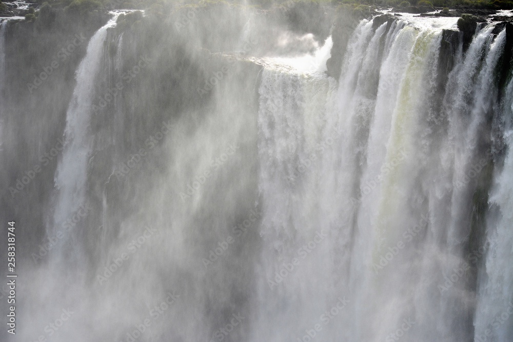 Fototapeta premium IGUAZU (naturaleza, aves, mamiferos, insectos, cascadas)