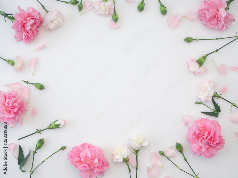 Frame made of carnation on a white background Frame made of carnation on a white background