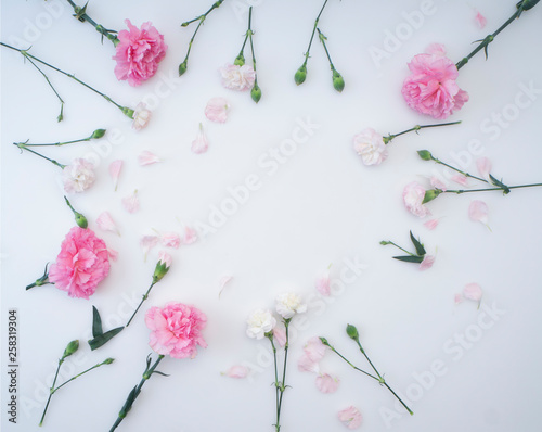 Frame made of carnation on a white background