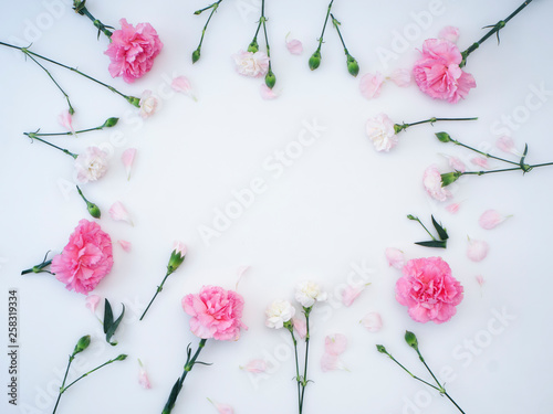 Frame made of carnation on a white background