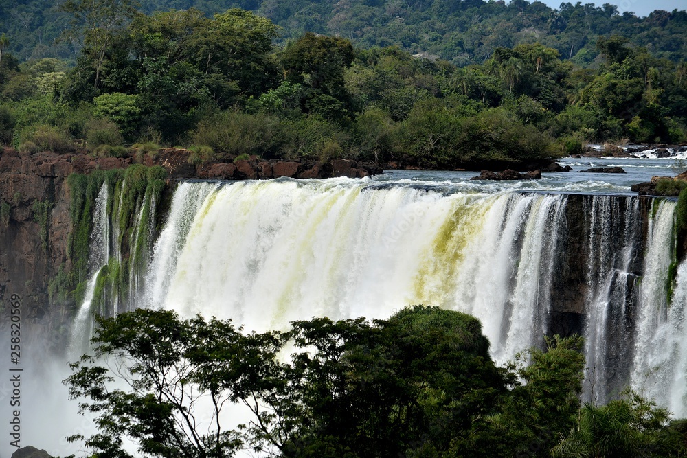 IGUAZU (naturaleza, cascadas, aves, mamiferos, insectos) IGUAZU (naturaleza, cascadas, aves, mamiferos, insectos)