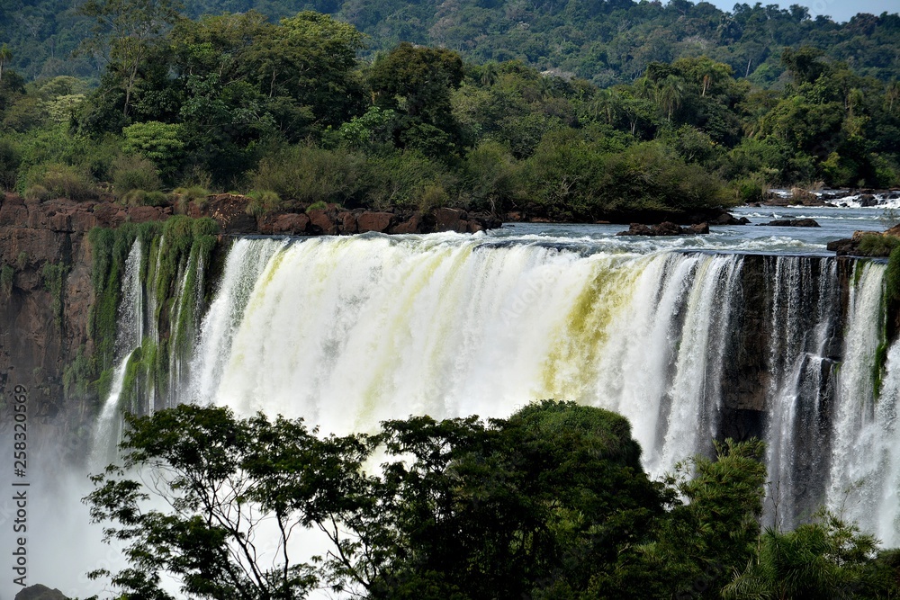 IGUAZU (naturaleza, cascadas, aves, mamiferos, insectos)