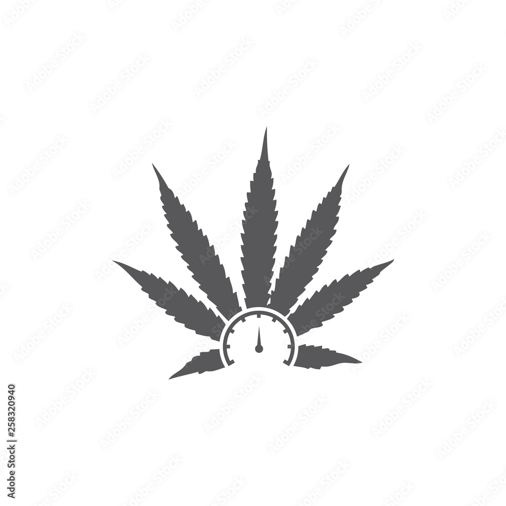 Vector illustration icon leaf and measuring instrument Vector illustration icon leaf and measuring instrument