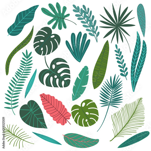 Tropical Leaves Icon Set