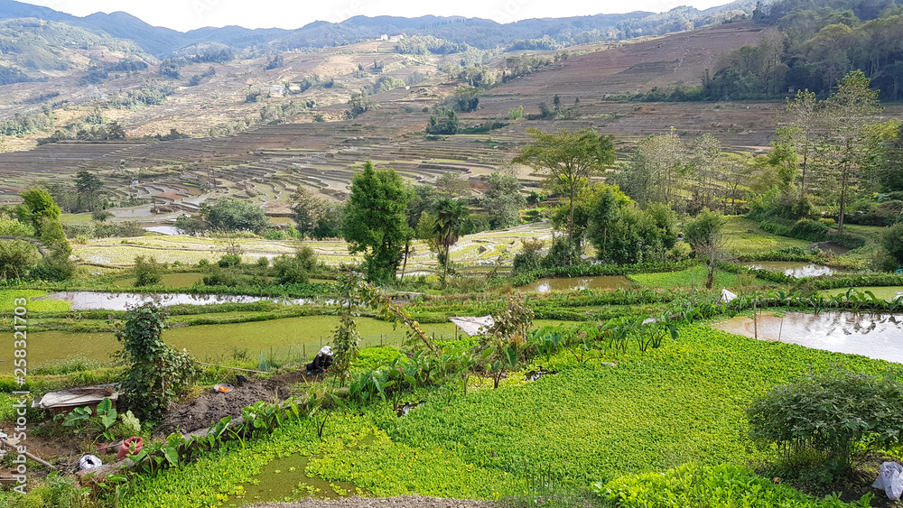 Yunnan rice terraces. View of the famous terraced rice fields of Yuanyang in Yunnan province in China