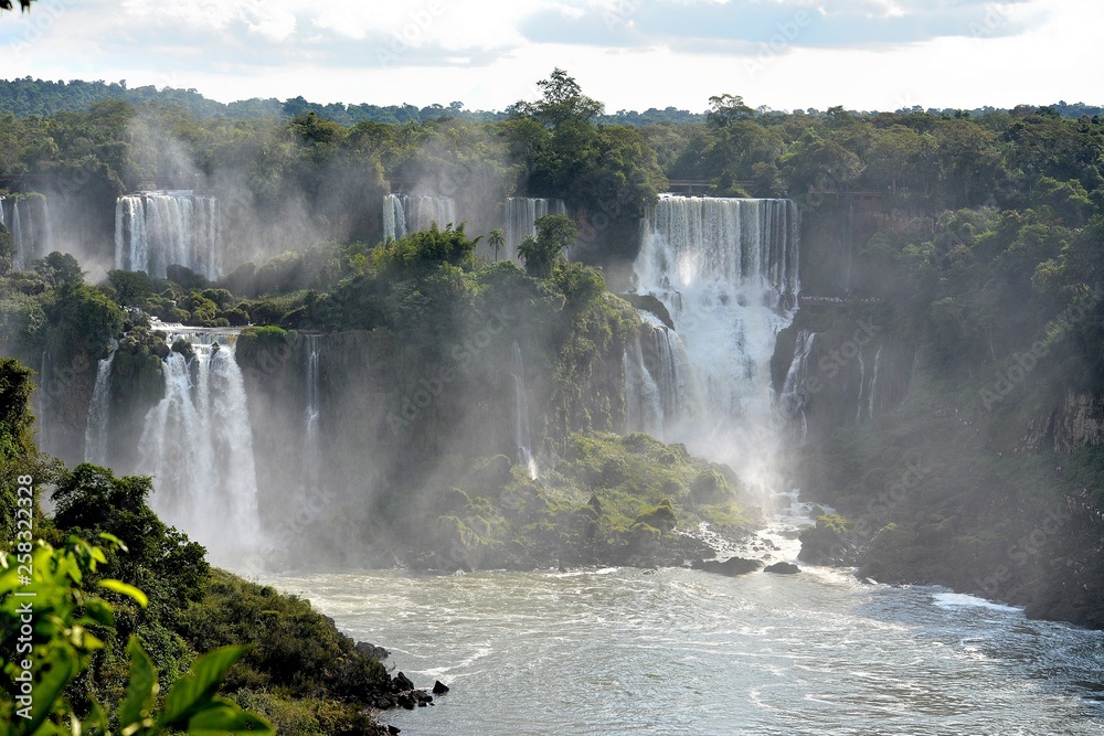 IGUAZU (naturaleza, cascadas, indectos aves) IGUAZU (naturaleza, cascadas, indectos aves)