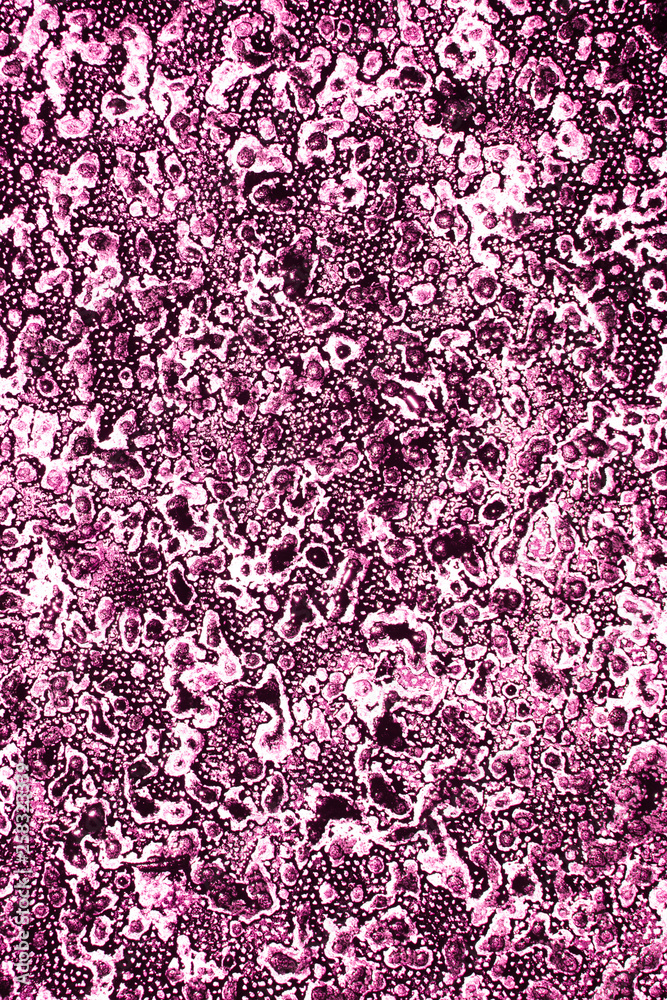 Acrylic Paint Splatters and spots for Background Acrylic Paint Splatters and spots for Background