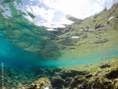 Underwater image in Formentera Balearics Spain