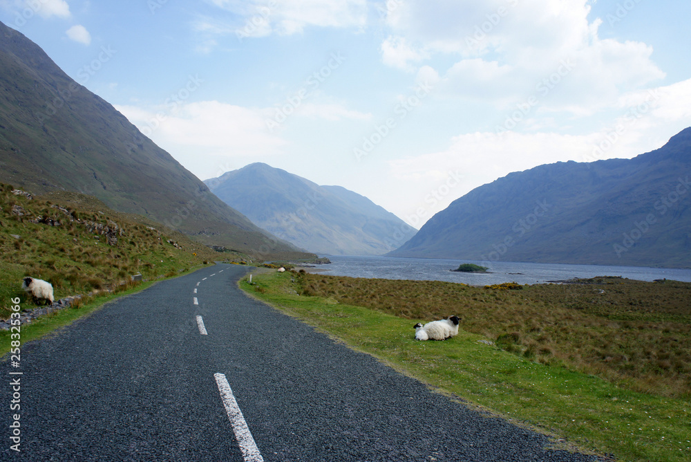 Landscapes of Ireland. In the foggy mountains of Donegal. Landscapes of Ireland. In the foggy mountains of Donegal.