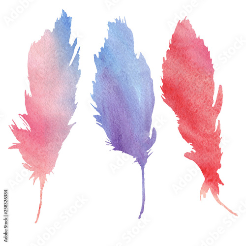  feather collage. hand drawn watercolor feather set  raster illustration.