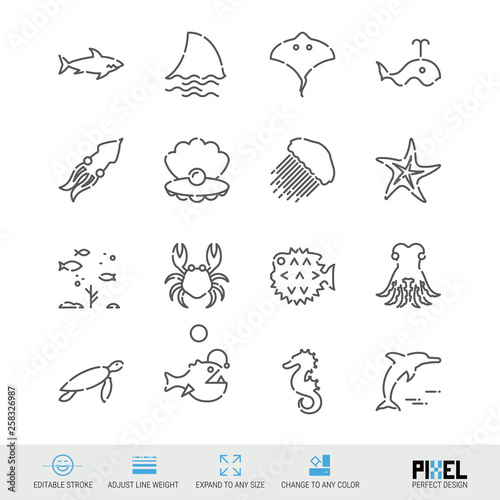 Vector Line Icon Set. Marine Life Related Linear Icons. Sea Animals Symbols, Pictograms, Signs. Pixel Perfect Design. Editable Stroke. Adjust Line Weight. Expand to Any Size. Change to Any Color.