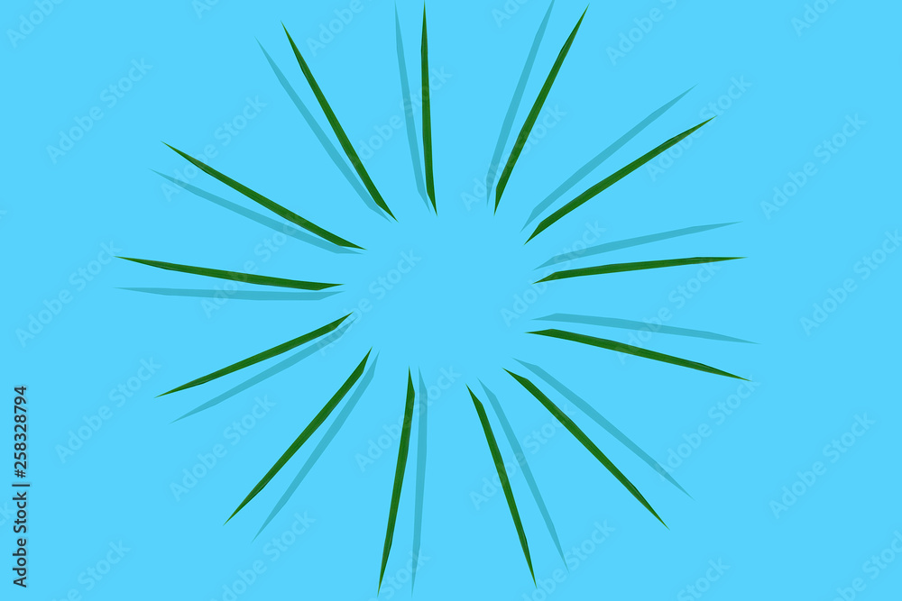 Fototapeta premium conceptual image bamboo leaves making a circle with shadow