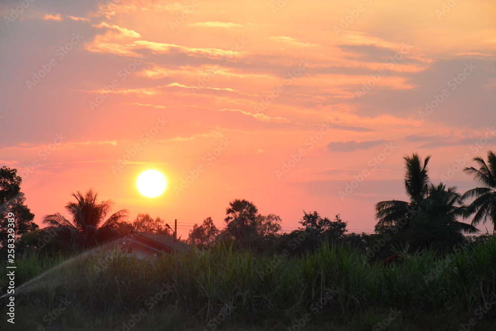 Obraz premium natural