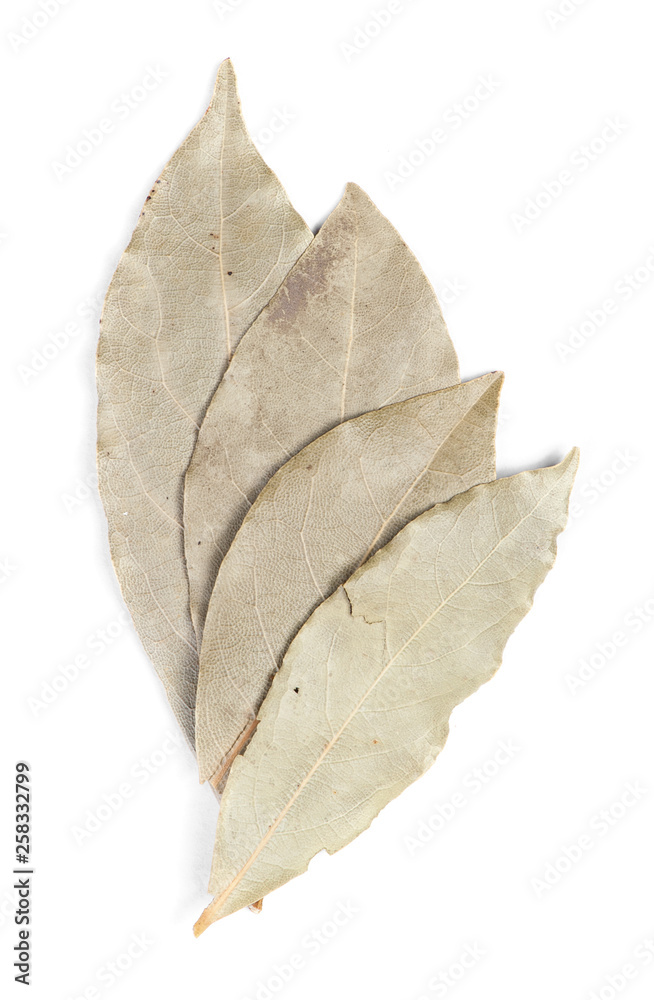 Spices bay laurel leaves