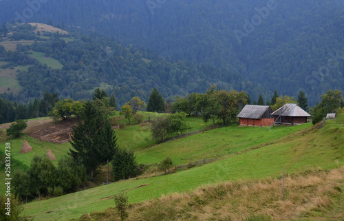 Morning fog in the mountains of the Carpathians