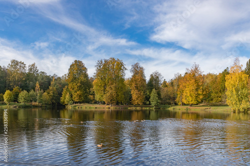 autumn landscape with lake and trees