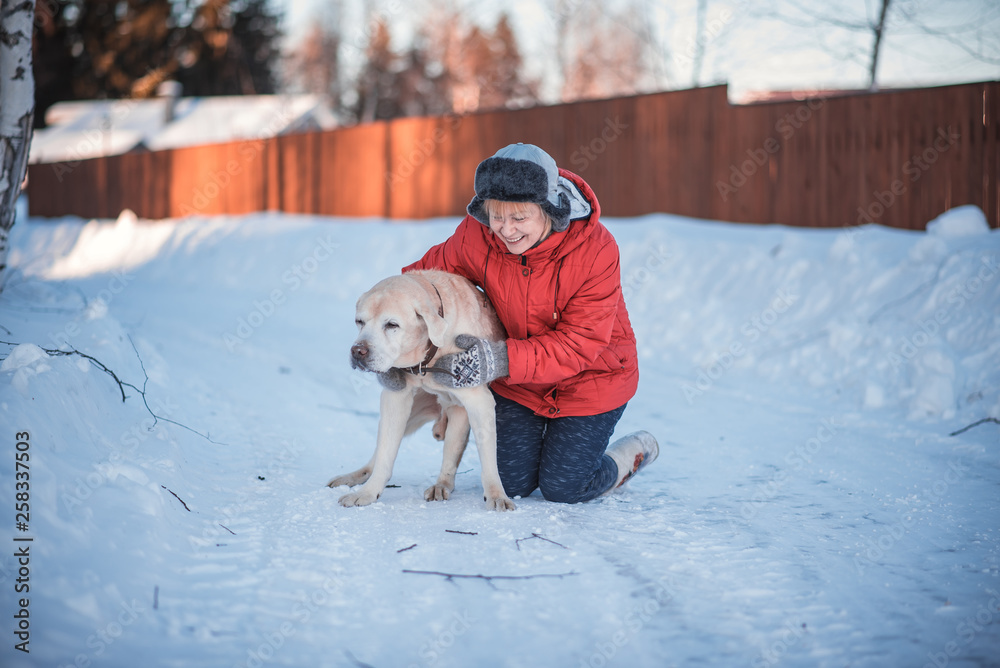 the woman of 50 years embraces the old dog of a Labrador on snow