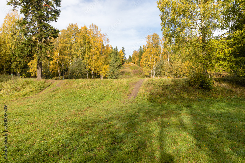 Naklejka premium autumn in the park