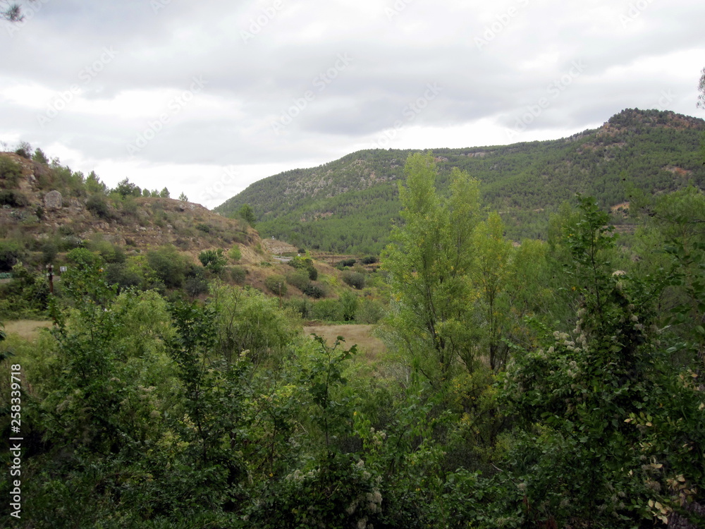 Fototapeta premium Paisaje