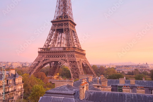 High view of the Eiffel Tower at dawn. Paris. France