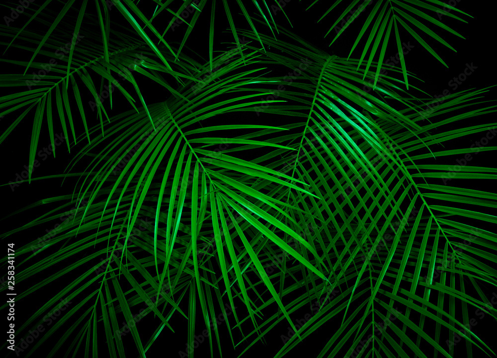 Obraz premium Palm leaves lit with vivid ufo green light