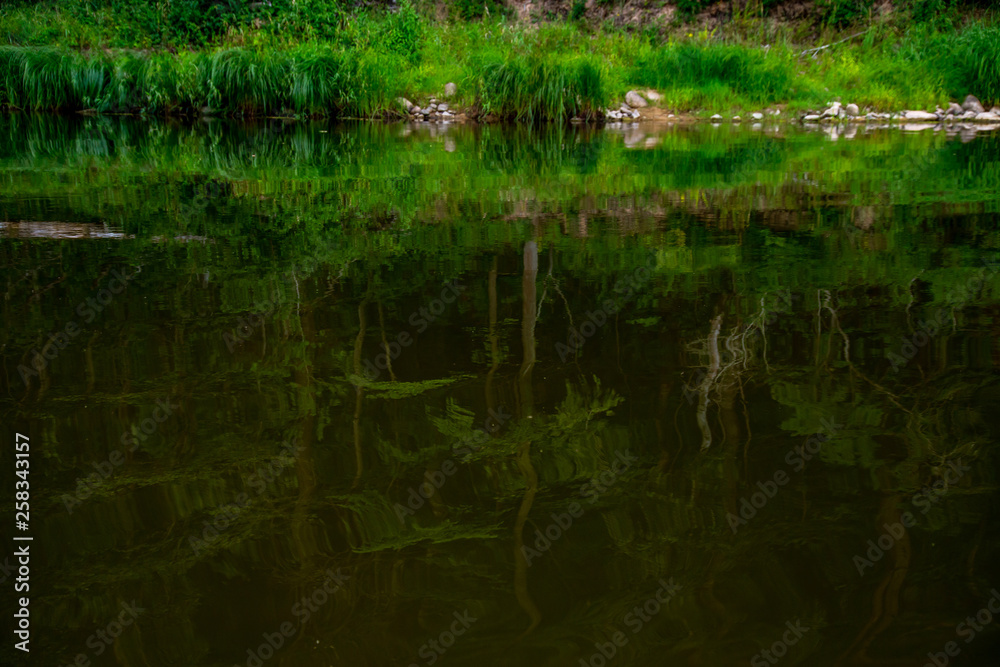 Landscape of river and reflection of green forest.