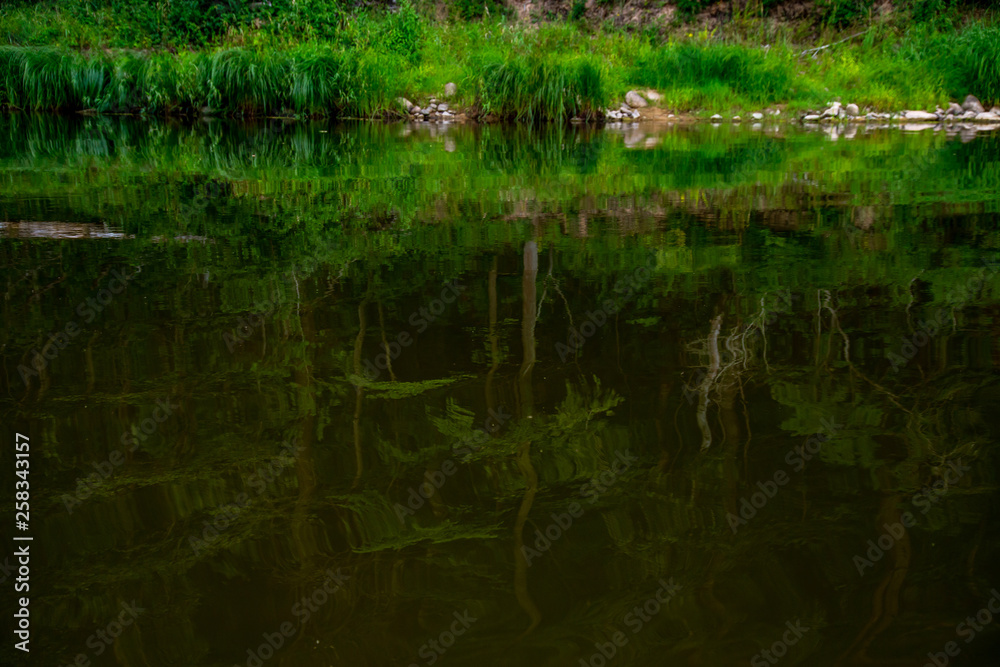 Landscape of river and reflection of green forest. Landscape of river and reflection of green forest.