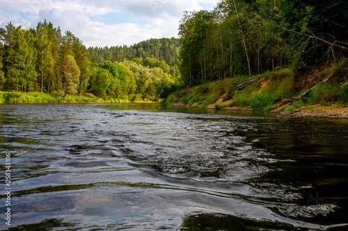 Landscape of river and green forest.