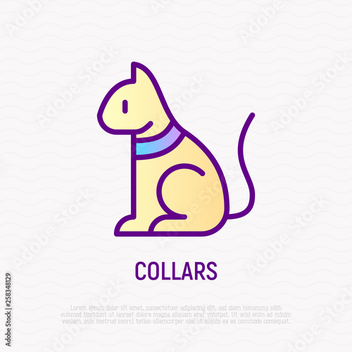 Collar for cat thin line icon. Modern vector illustration for pet shop. © AlexBlogoodf