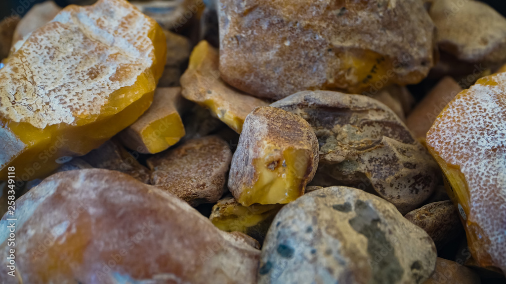 Amber stone. Authentic Baltic amber with prehistoric fossil insect macro. Magnifying glass and increasing amber. Amber stone. Authentic Baltic amber with prehistoric fossil insect macro. Magnifying glass and increasing amber.