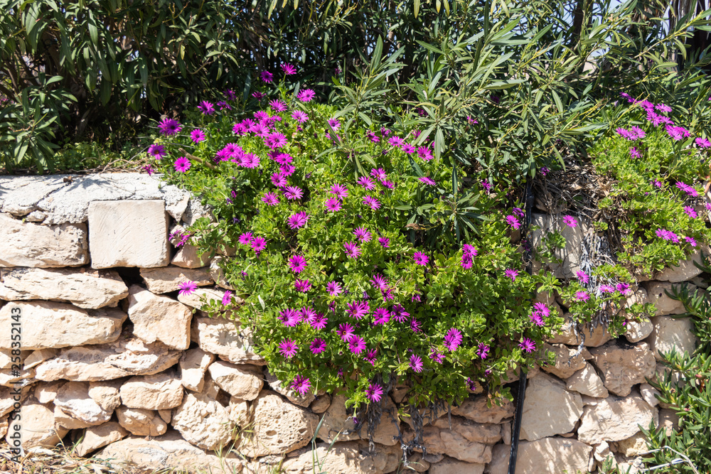 Temples of Ħaġar Qim Temples of Ħaġar Qim