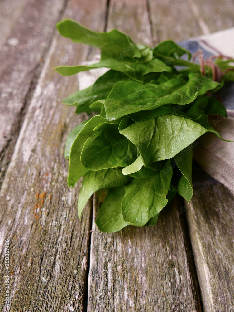 bundle of spinach on a wooden background and linen napking bundle of spinach on a wooden background and linen napking