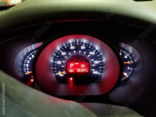 Odometer and gauges