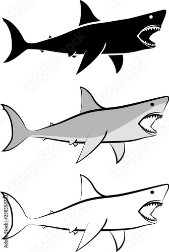 isolated shark - clip art illustration and line art