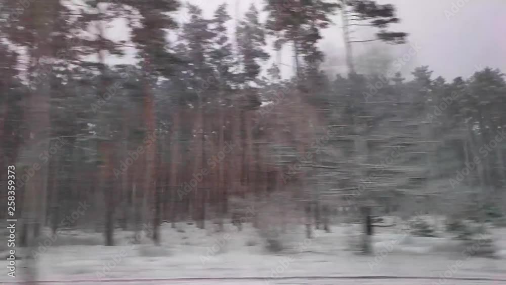 View on the snowy forest from train window View on the snowy forest from train window