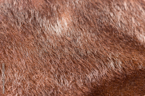 dark brown faux fur textures fabric. close up full frame. textured background © Mariia