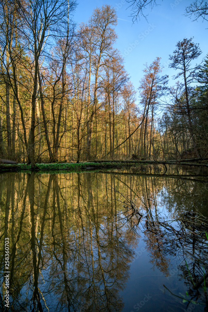 Robecsky potok river in Peklo valley Robecsky potok river in Peklo valley