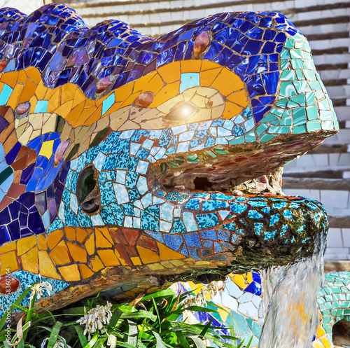 Photography Dragon fountain salamandra Barcelona