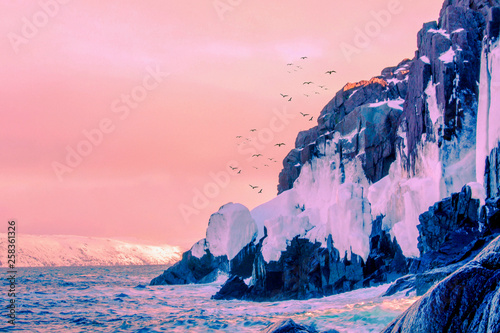 End of the earth. On the bank of the Barents Sea. photo