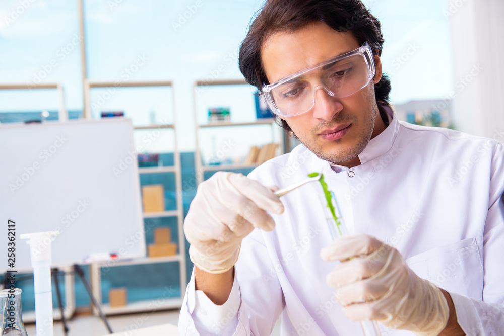 Male biotechnology scientist chemist working in the lab Male biotechnology scientist chemist working in the lab