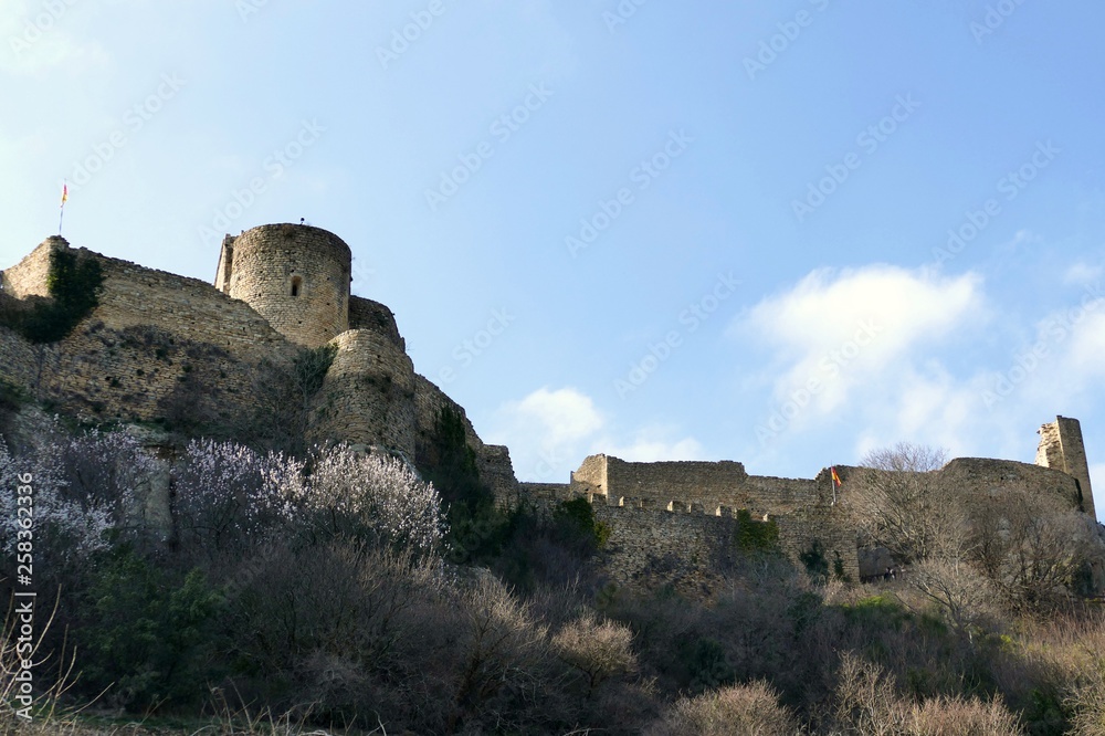 Remparts de la forteresse de Mornas près d'Orange, Vaucluse, France