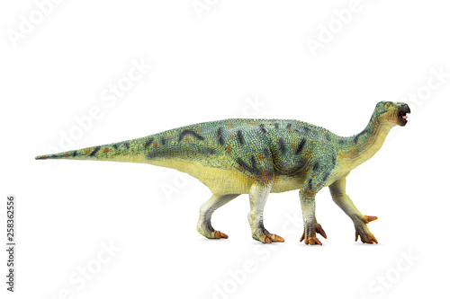 Herbivorous Dinosaur Iguanodon living in late Jurassic Period to the early Cretaceous. isolated on white background.