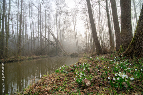 Robecsky potok river in Peklo valley photo