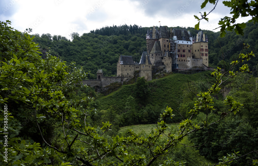 Burg Elz im Wald