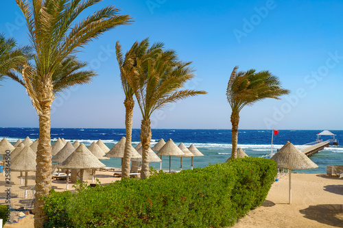 rest relaxation by the sea ocean with beach umbrellas in good weather