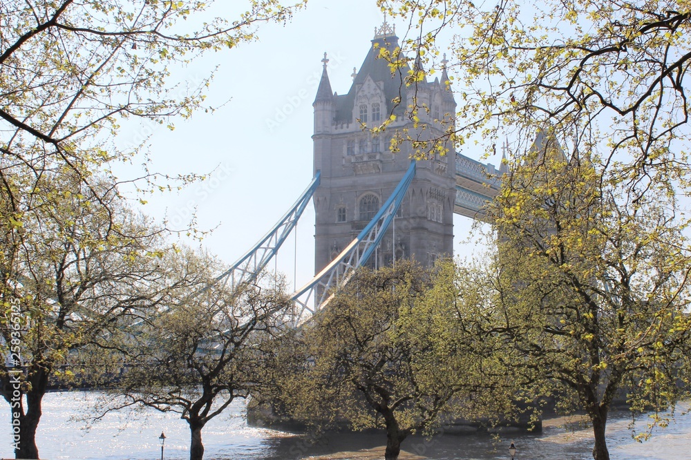 Beautiful London seen during a city tour along thames river and famous architecture Beautiful London seen during a city tour along thames river and famous architecture