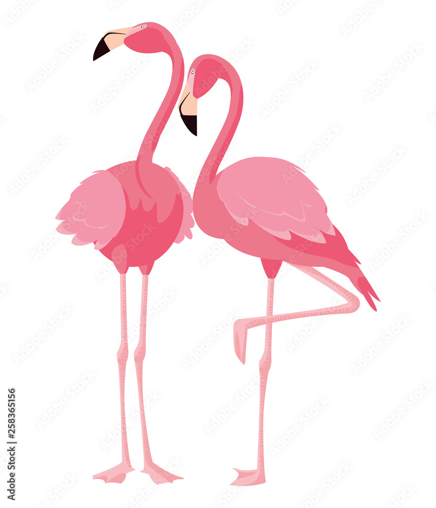 Obraz premium elegant flamingo birds couple