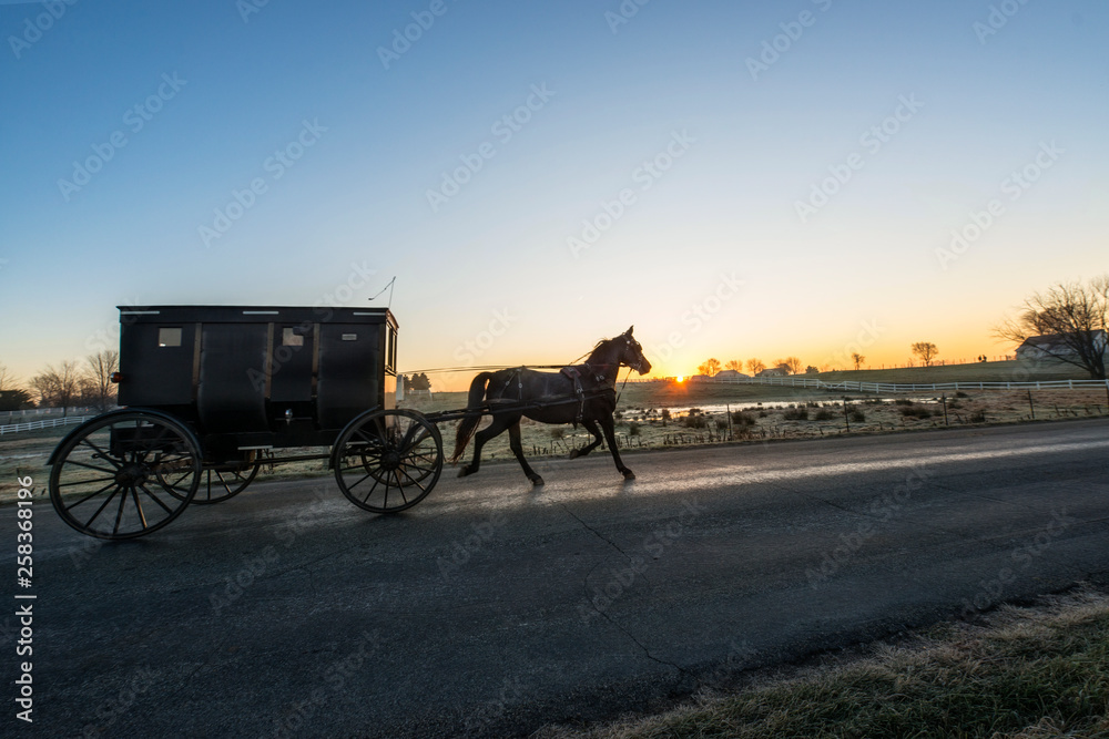 Amish Horse and Buggy on Rural Road at Dawn