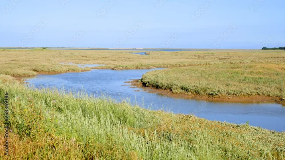 Pagham Harbour - natural tidal inlet and salt marsh with rich diverse wildlife. West Sussex, England. Pagham Harbour - natural tidal inlet and salt marsh with rich diverse wildlife. West Sussex, England.